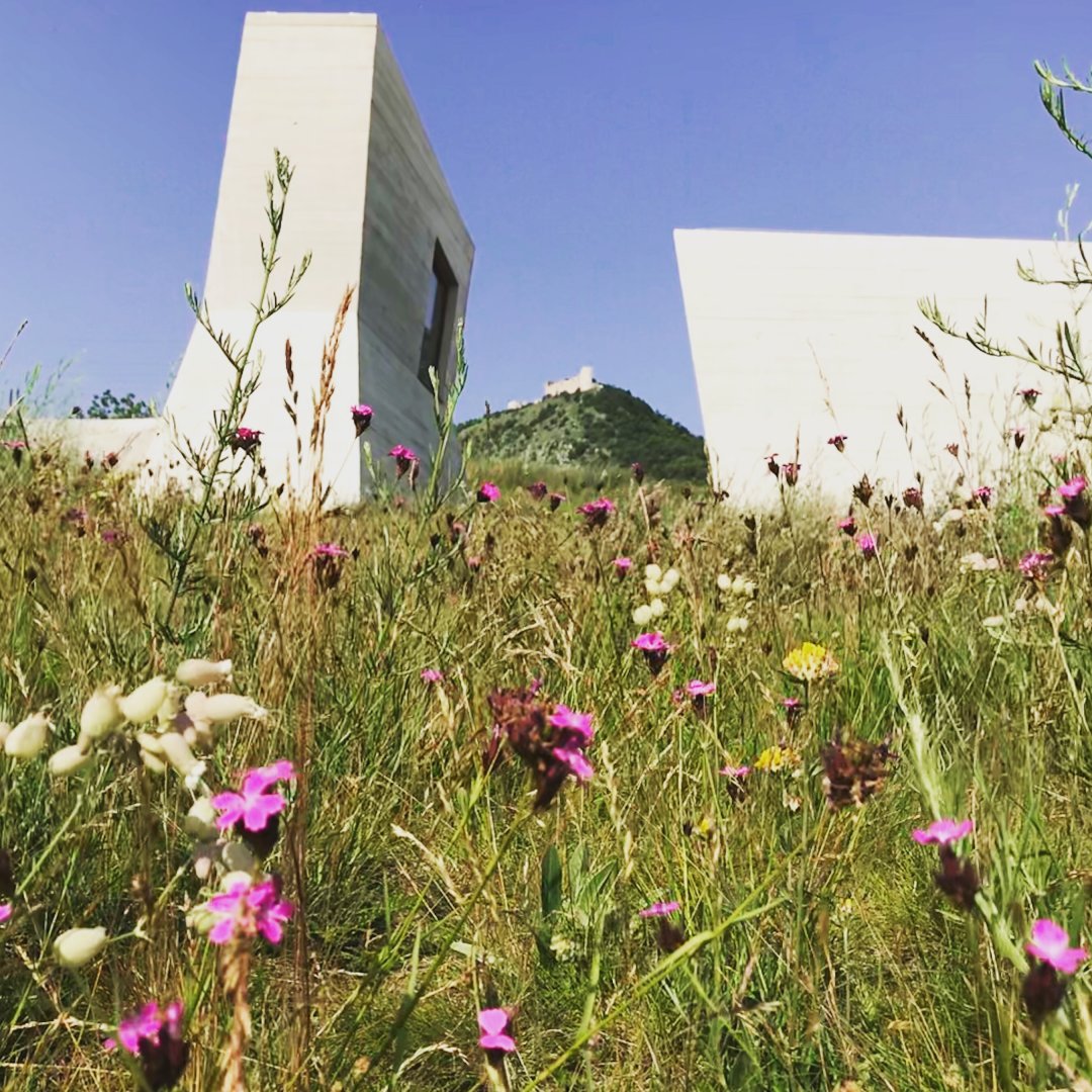 Údržba Archeoparku v Pavlově