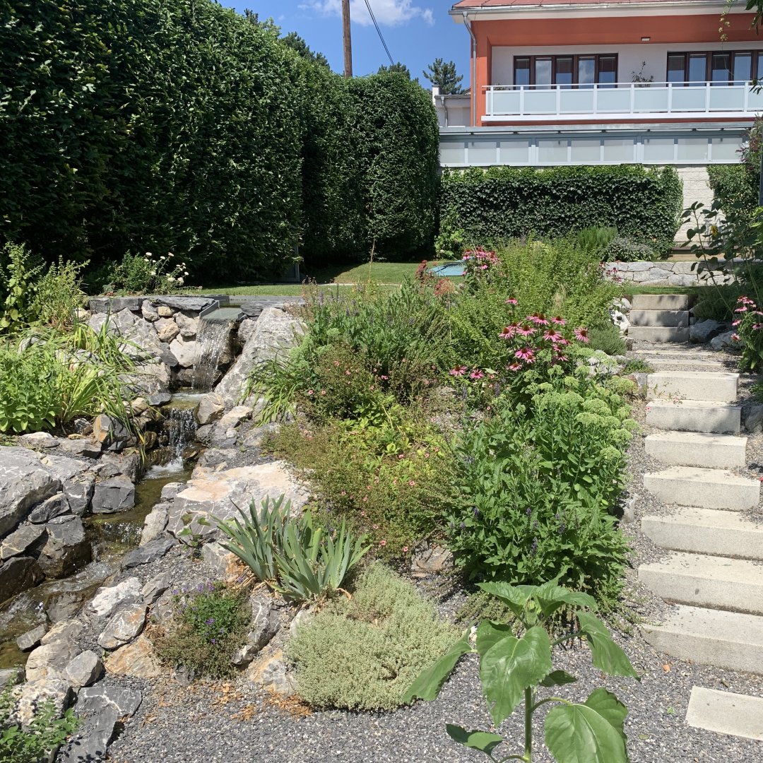 Zahrada ztracené vody