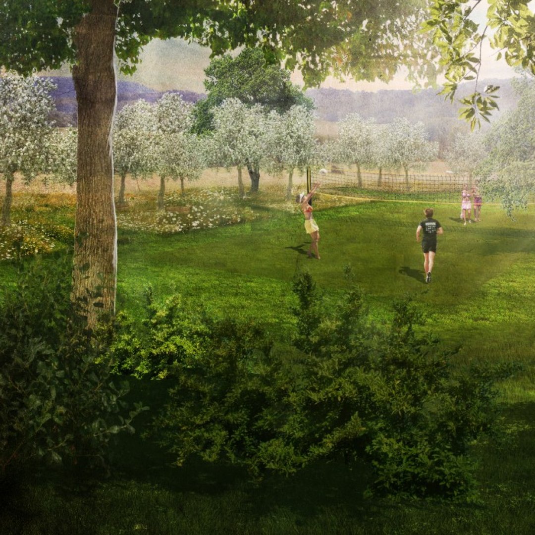 Zahrada zapomenuté usedlosti