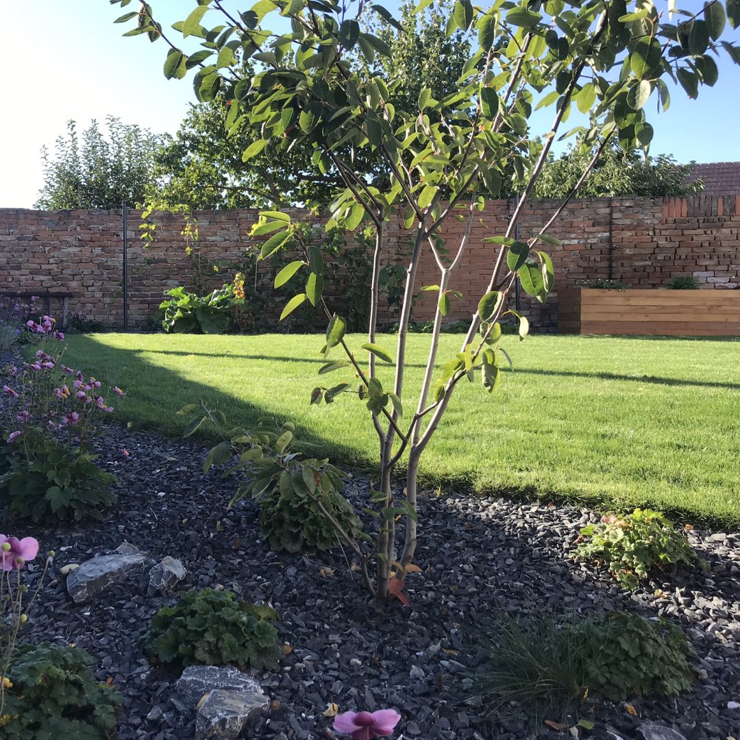 Zahrada s obrazem Pálavy