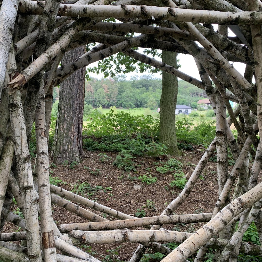 Workout v lese – Karkulčin háj