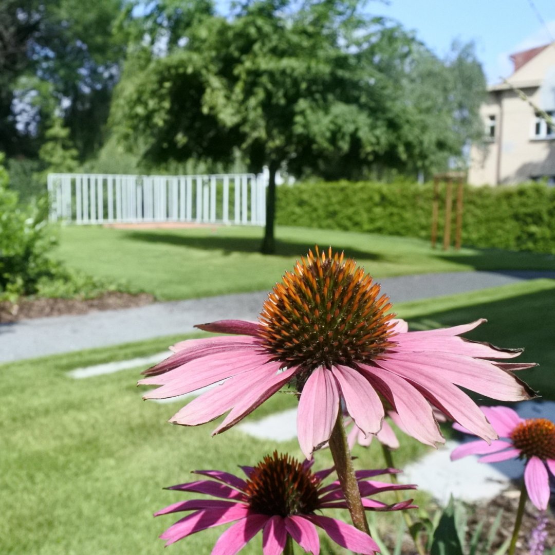 Zahrada zapomenuté vily