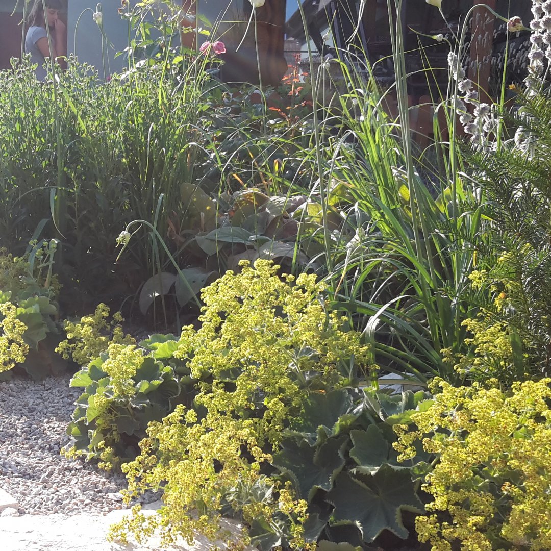 Zahrada rodiny vinařů